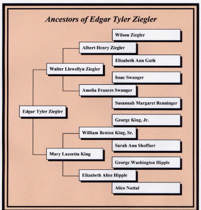 Ziegler Genealogy Chart